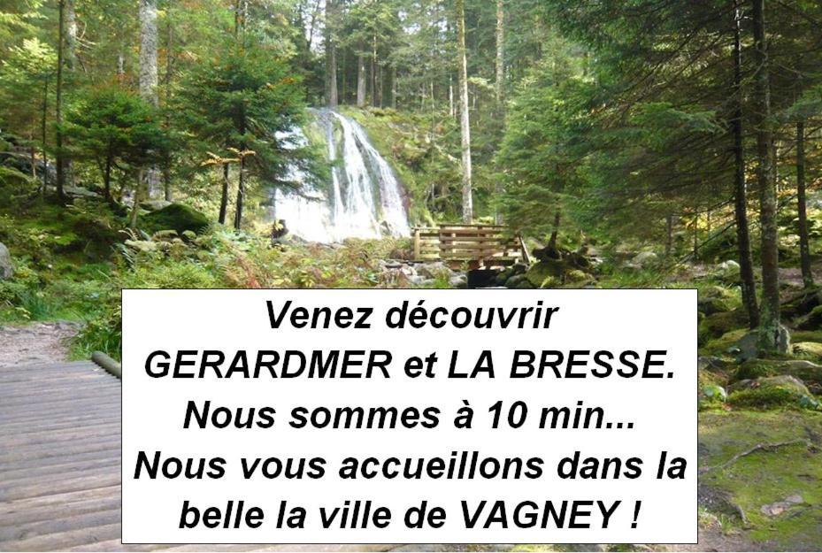 La Clementine Apartment Vagney Luaran gambar